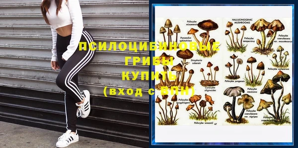 не бодяженный Арсеньев