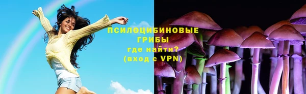 spice Армянск