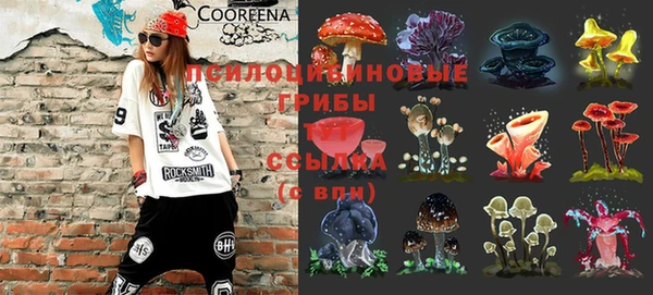 кокс Аркадак