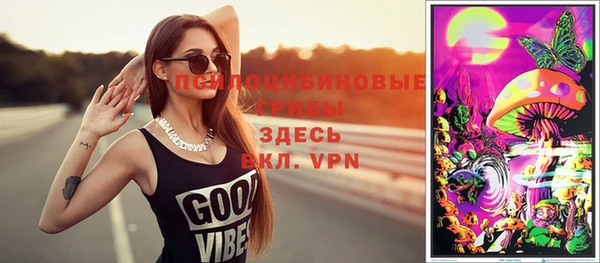 не бодяженный Арсеньев