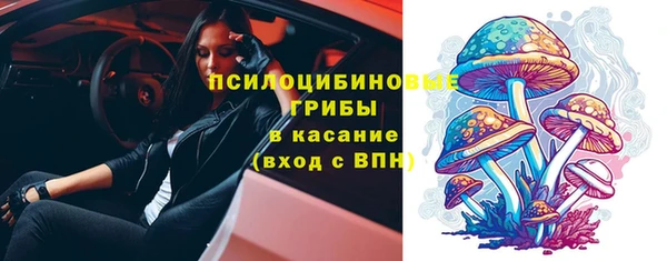 кокс Аркадак