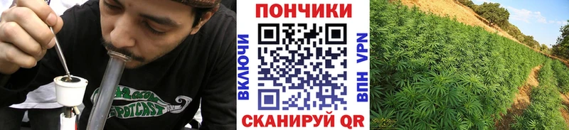где продают   Баймак  Бошки Шишки планчик 